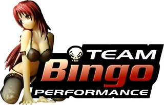 Team Bingo Performance